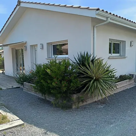 Chez Steph